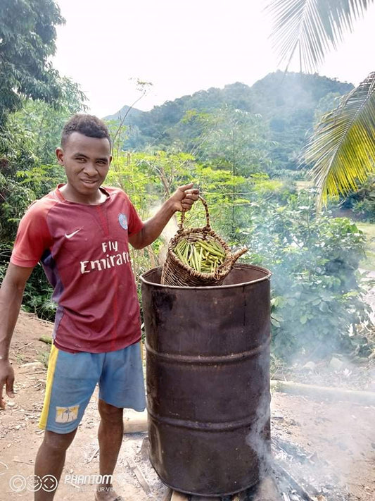 Vanille oogst in Madagaskar