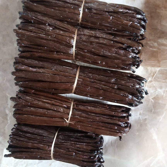 Bundles of vanilla beans tied with string on a light background